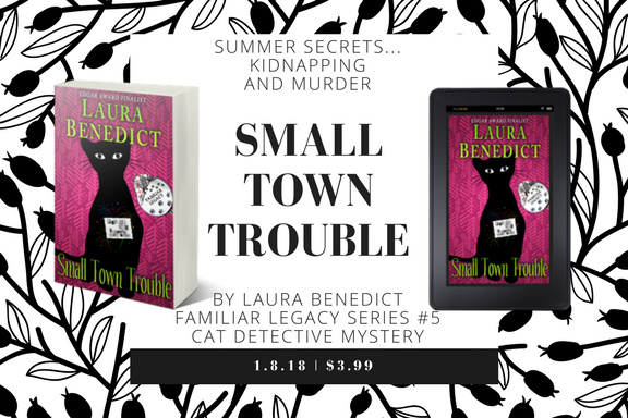 [banner: Small Town Trouble]
