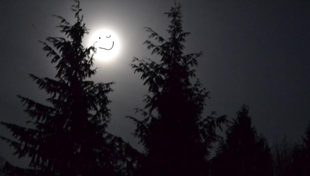 photo of moon over trees